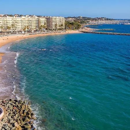 De Flore Saint-Raphael (Var)