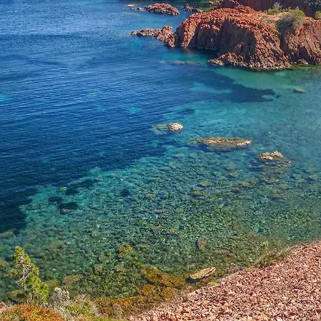 ホテル オテル ド フロール 3*