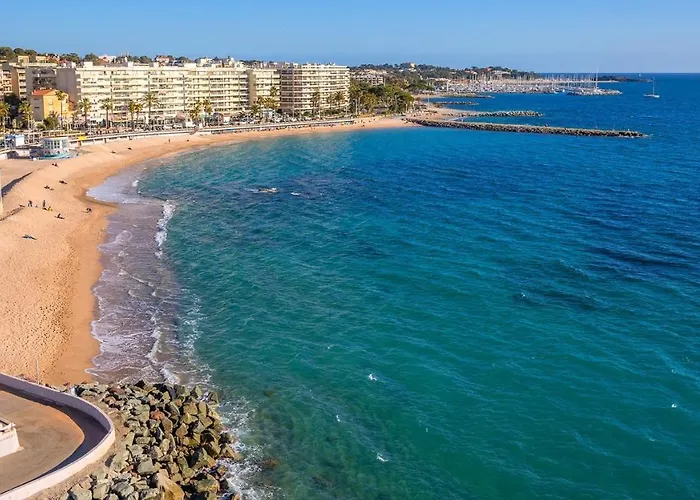 De Flore Saint-Raphael (Var)